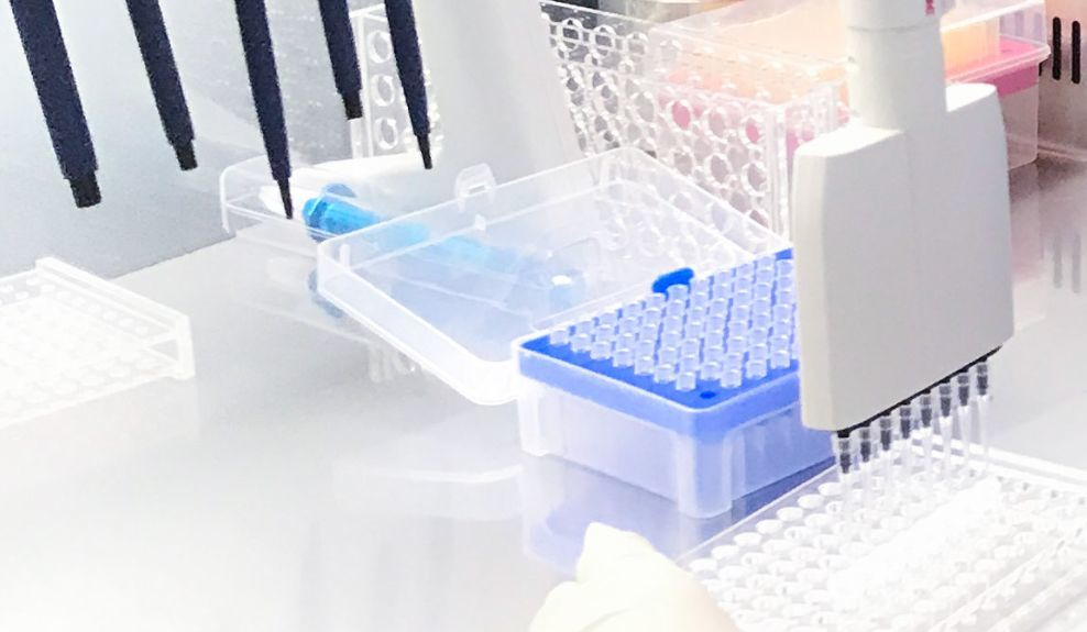 武汉亲子鉴定的中心地址在哪里？（附鉴定内容一览）