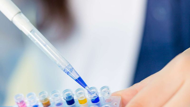 武汉做个人亲子鉴定需要多少的价格？-收费标准  