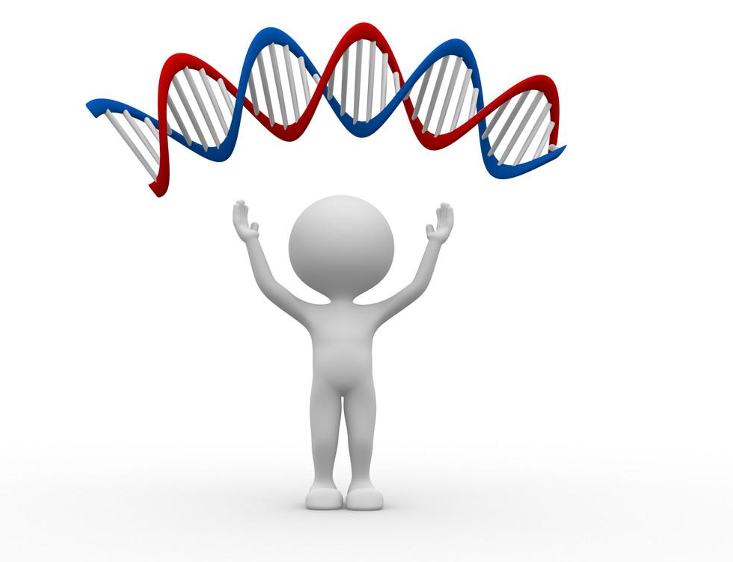 武汉个人亲子鉴定正规机构有哪些（正规机构名录/2024版）