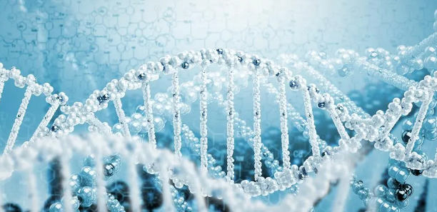 武汉十大个人隐私亲子鉴定机构名录(附24年的收费明细) 武汉十大个人隐私亲子鉴定机构名录(附24年的收费明细)