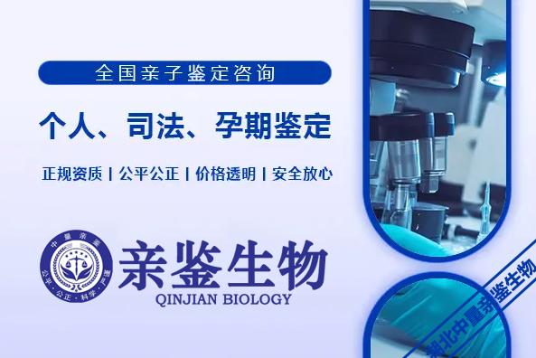 8无.png